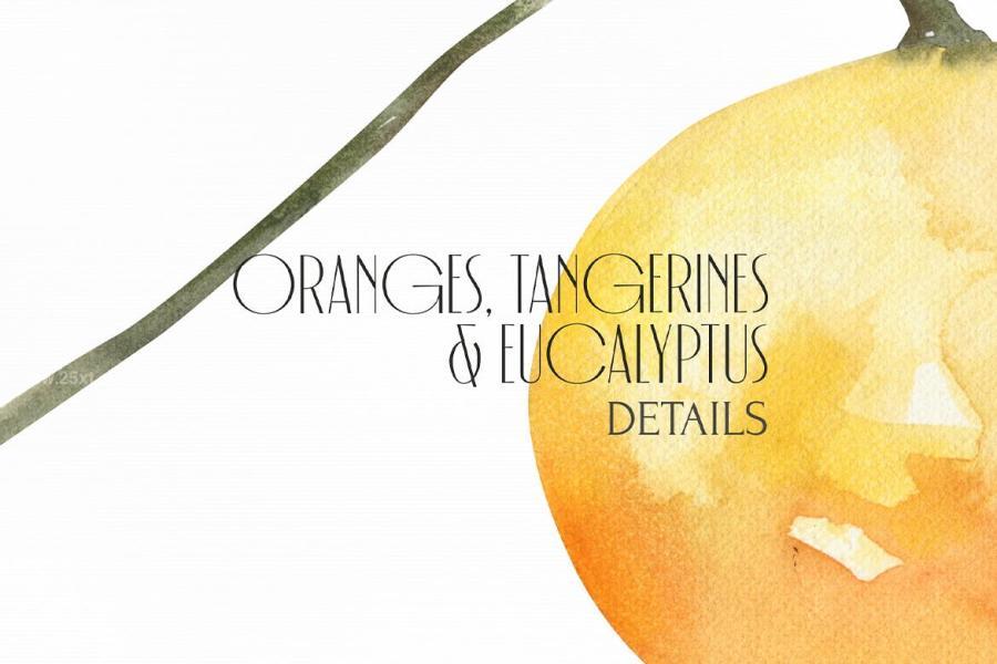 25xt-165100 Watercolor-Tangerines-clipart-Summer-fruitsz3.jpg