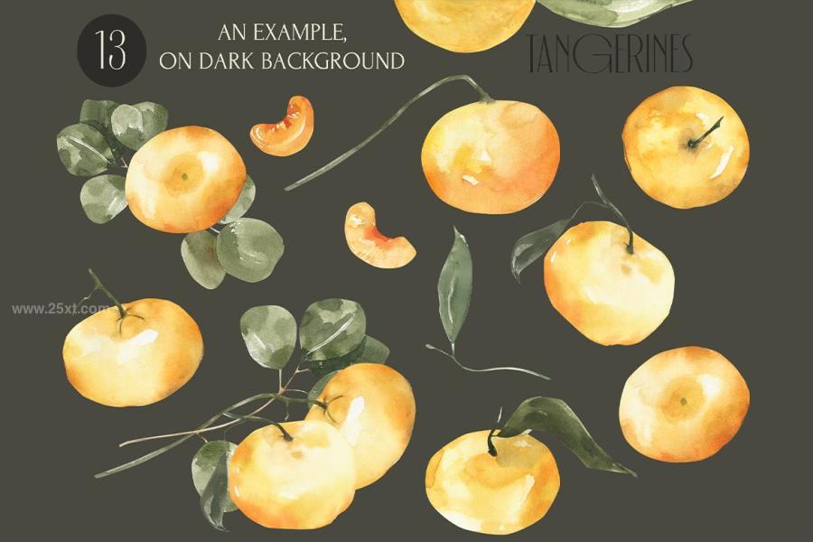 25xt-165100 Watercolor-Tangerines-clipart-Summer-fruitsz4.jpg