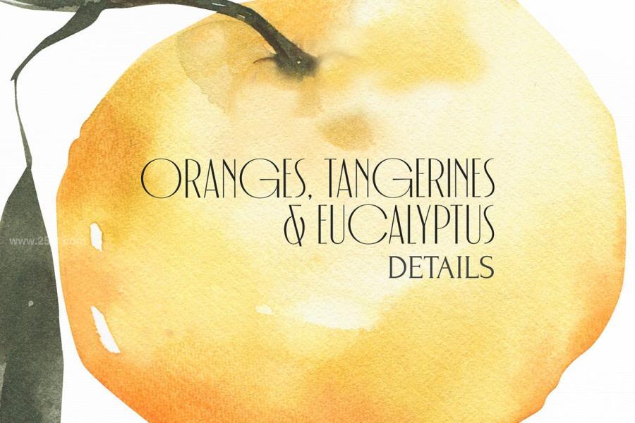 25xt-165100 Watercolor-Tangerines-clipart-Summer-fruitsz5.jpg