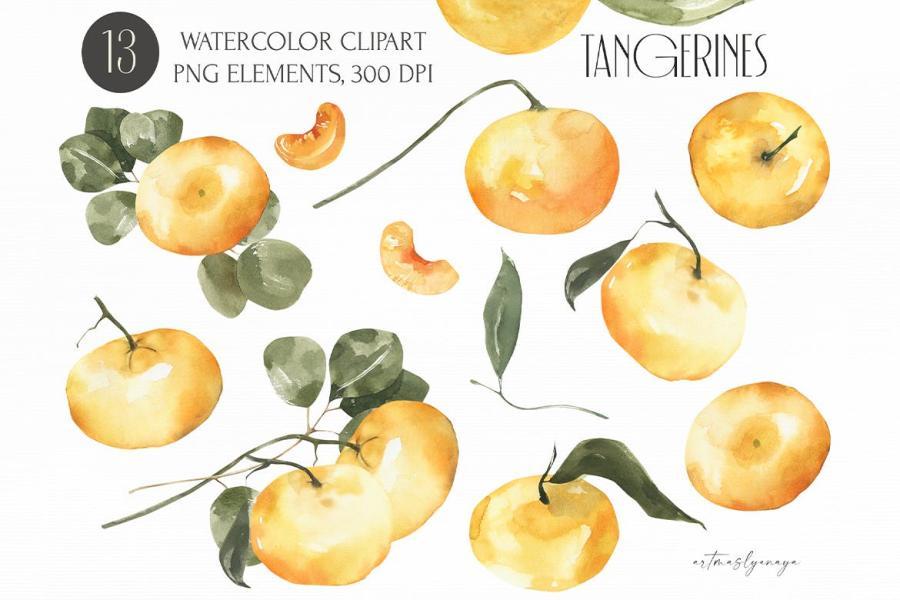 25xt-165100 Watercolor-Tangerines-clipart-Summer-fruitsz6.jpg