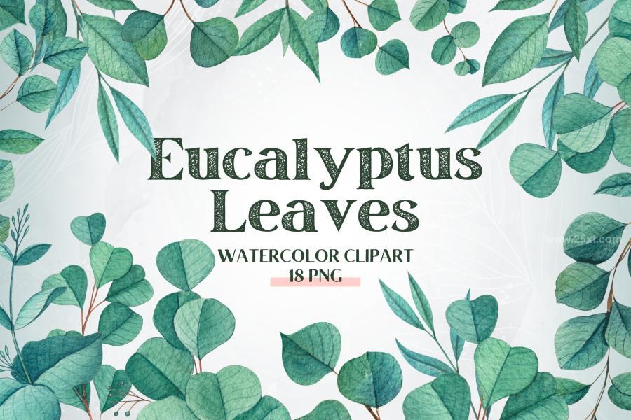 25xt-165264 Elegant-Eucalyptus-Watercolor-Clipart-Setz2.jpg