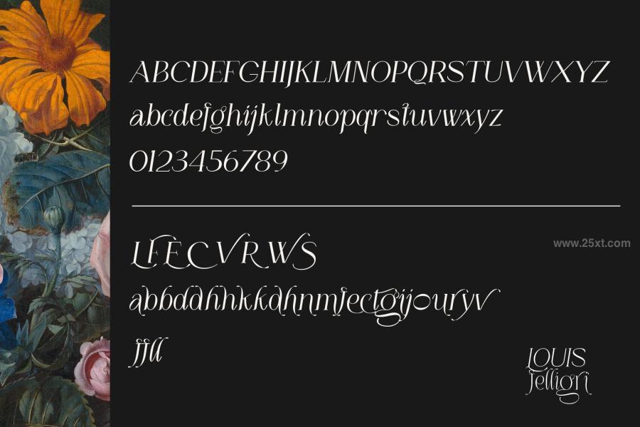 25xt-165352 LOUIS-felligri-Serif-Display-Fontz12.jpg
