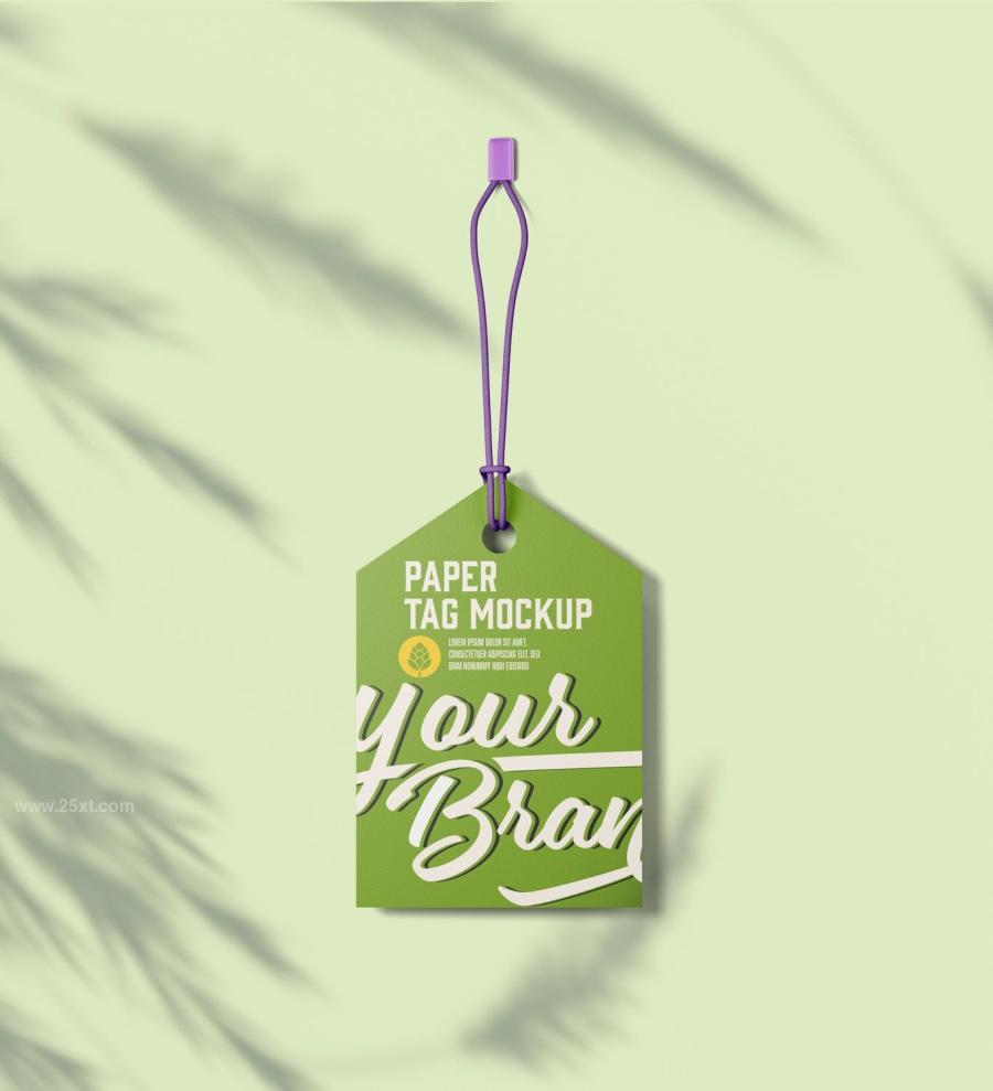 25xt-165137 Set-Paper-Tags-Mockupz10.jpg