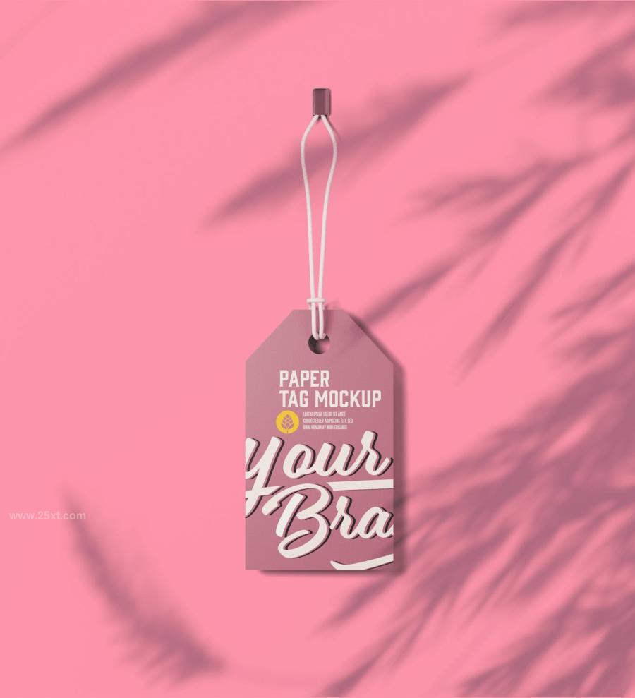 25xt-165137 Set-Paper-Tags-Mockupz13.jpg