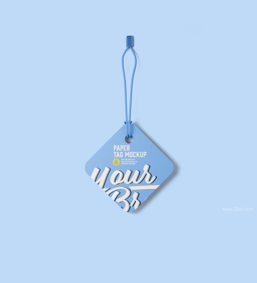 25xt-165137 Set-Paper-Tags-Mockupz15.jpg