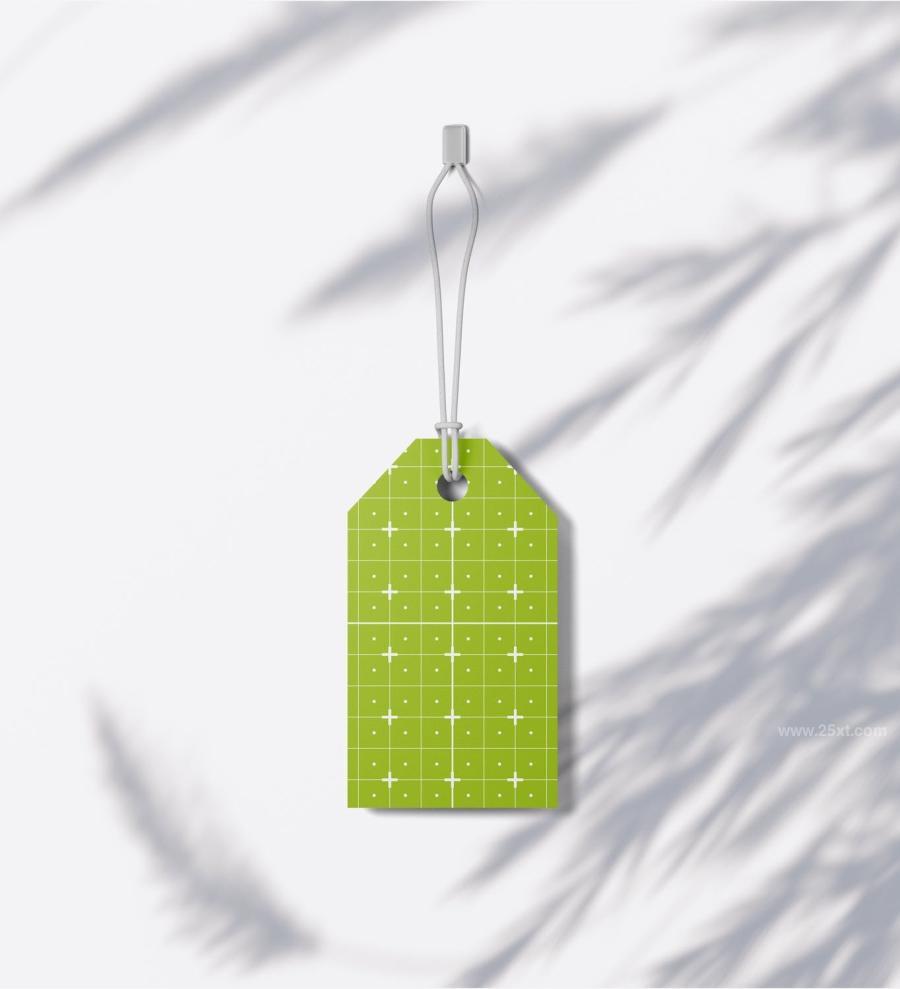 25xt-165137 Set-Paper-Tags-Mockupz17.jpg