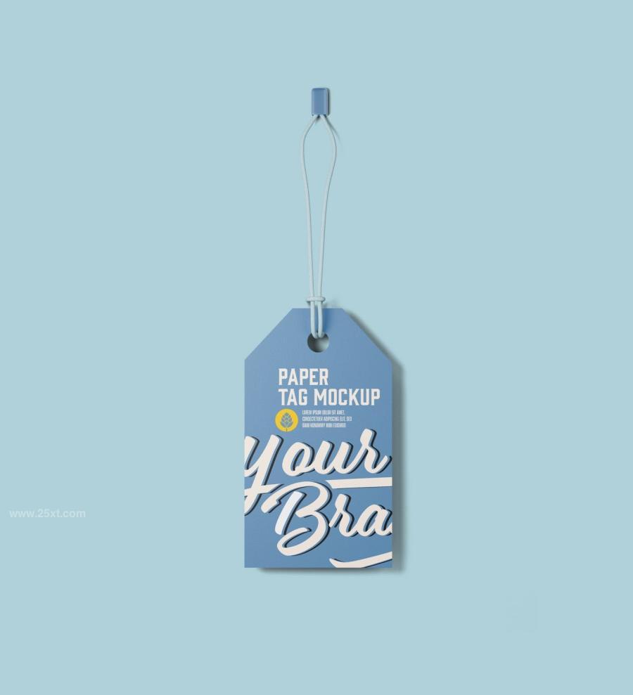 25xt-165137 Set-Paper-Tags-Mockupz5.jpg