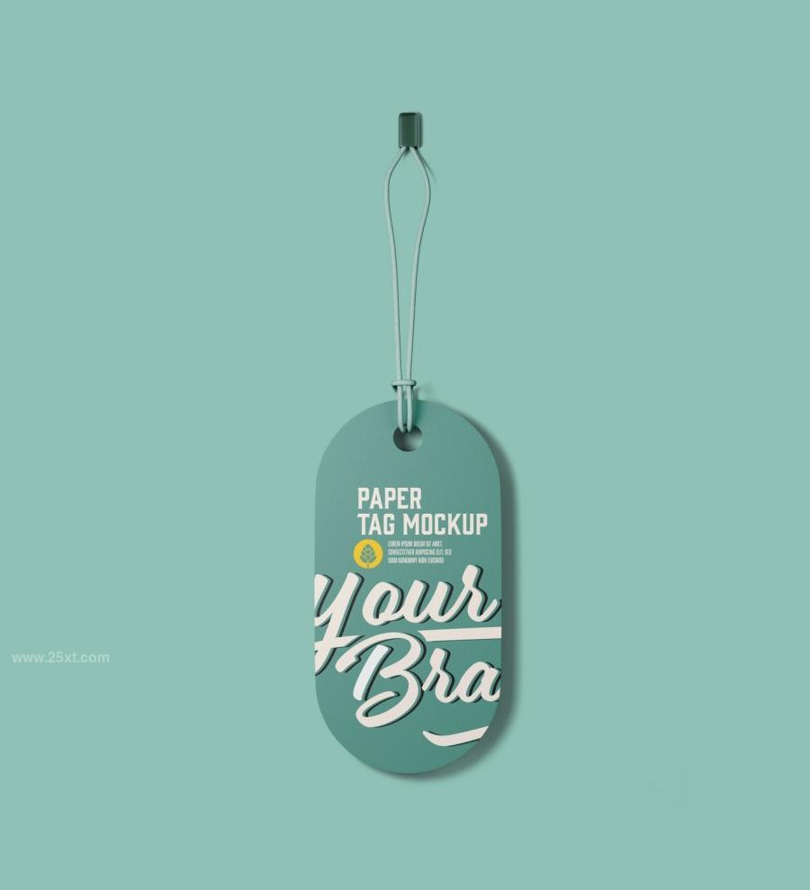 25xt-165137 Set-Paper-Tags-Mockupz7.jpg