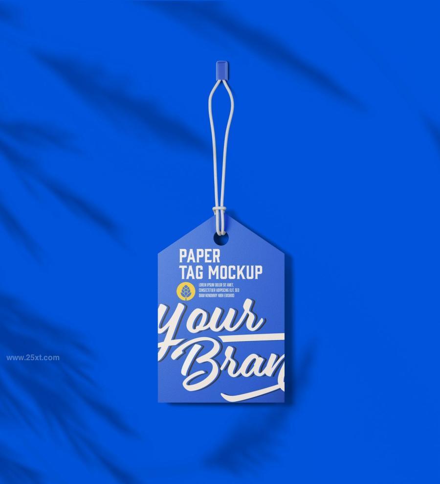 25xt-165137 Set-Paper-Tags-Mockupz8.jpg