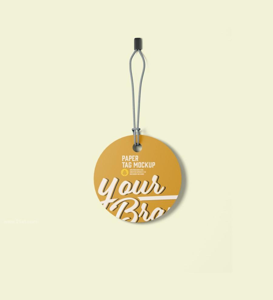 25xt-165137 Set-Paper-Tags-Mockupz9.jpg