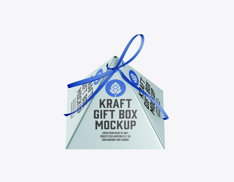 25xt-165140 Pyramid-Gift-Box-Mockupz16.jpg