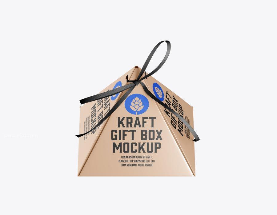 25xt-165140 Pyramid-Gift-Box-Mockupz8.jpg