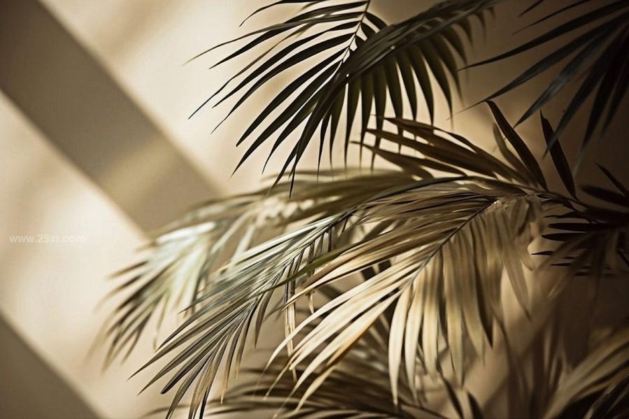 25xt-165435 Palm-Leaves-3D-Backgroundsz10.jpg