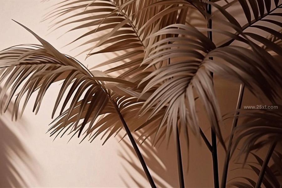 25xt-165435 Palm-Leaves-3D-Backgroundsz12.jpg