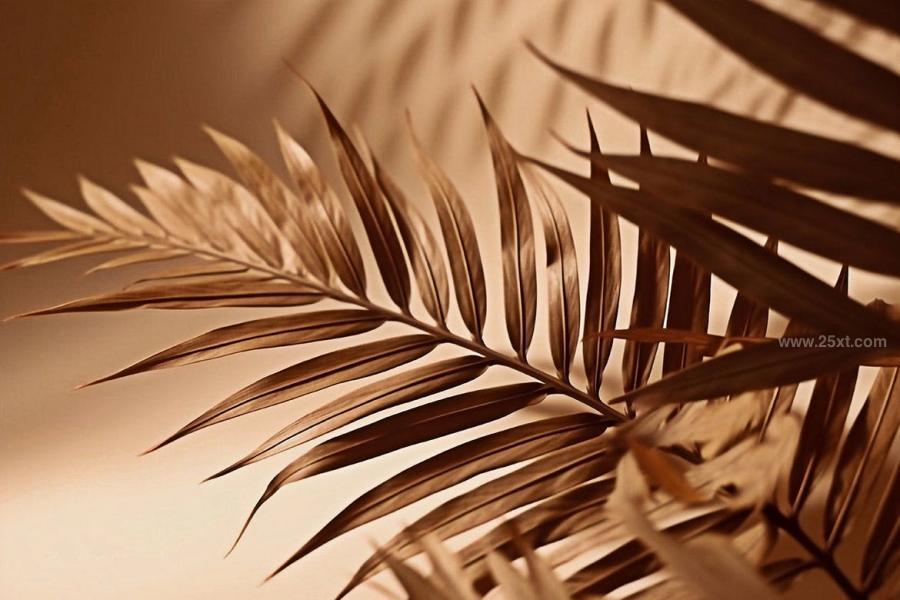 25xt-165435 Palm-Leaves-3D-Backgroundsz3.jpg