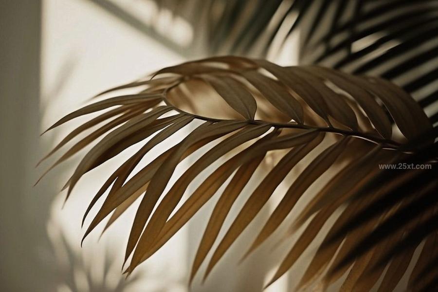 25xt-165435 Palm-Leaves-3D-Backgroundsz4.jpg
