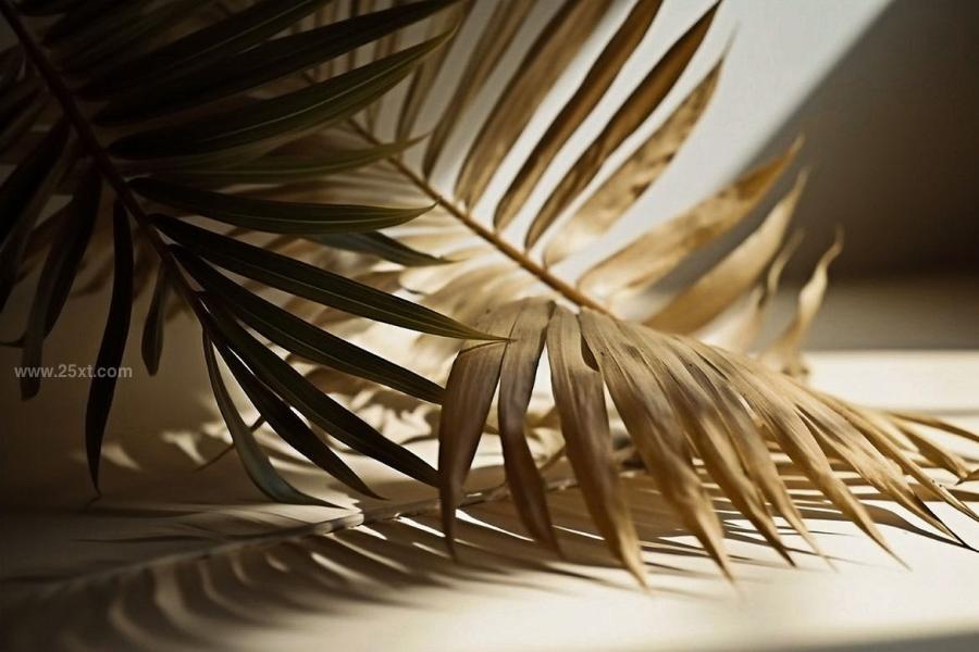 25xt-165435 Palm-Leaves-3D-Backgroundsz6.jpg