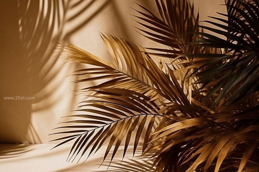 25xt-165435 Palm-Leaves-3D-Backgroundsz7.jpg