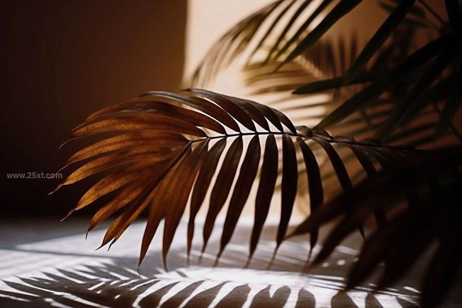 25xt-165435 Palm-Leaves-3D-Backgroundsz8.jpg