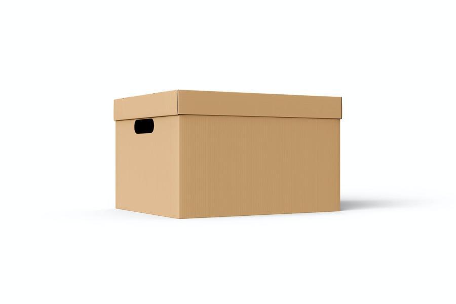 25xt-165580 Cardboard-Carton-Moving-Box-Mockupz13.jpg