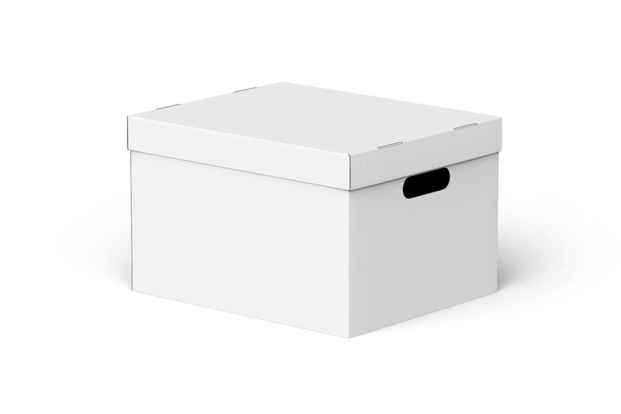 25xt-165580 Cardboard-Carton-Moving-Box-Mockupz6.jpg