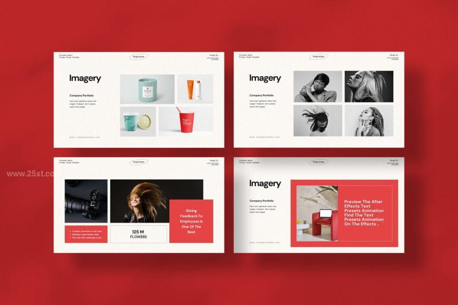 25xt-165881 Portfolio-Presentation-Templatez6.jpg