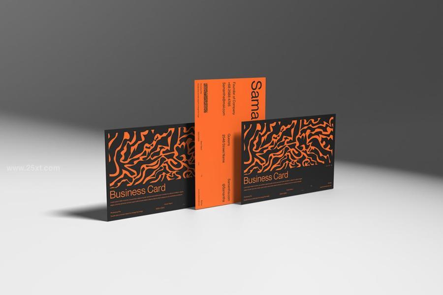 25xt-165643 MI---Business-Card-Mockupz12.jpg