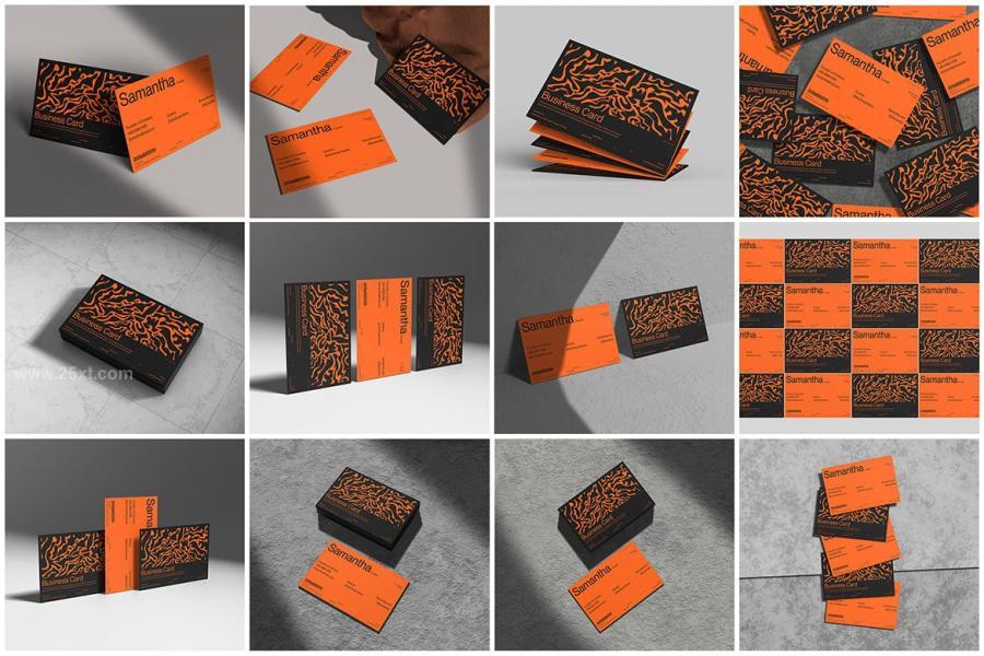 25xt-165643 MI---Business-Card-Mockupz13.jpg