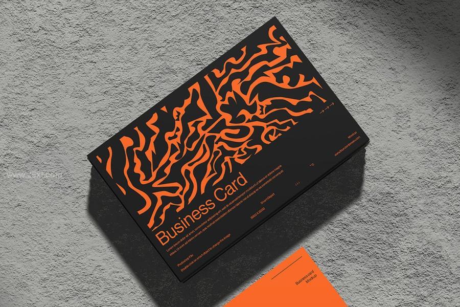 25xt-165643 MI---Business-Card-Mockupz3.jpg
