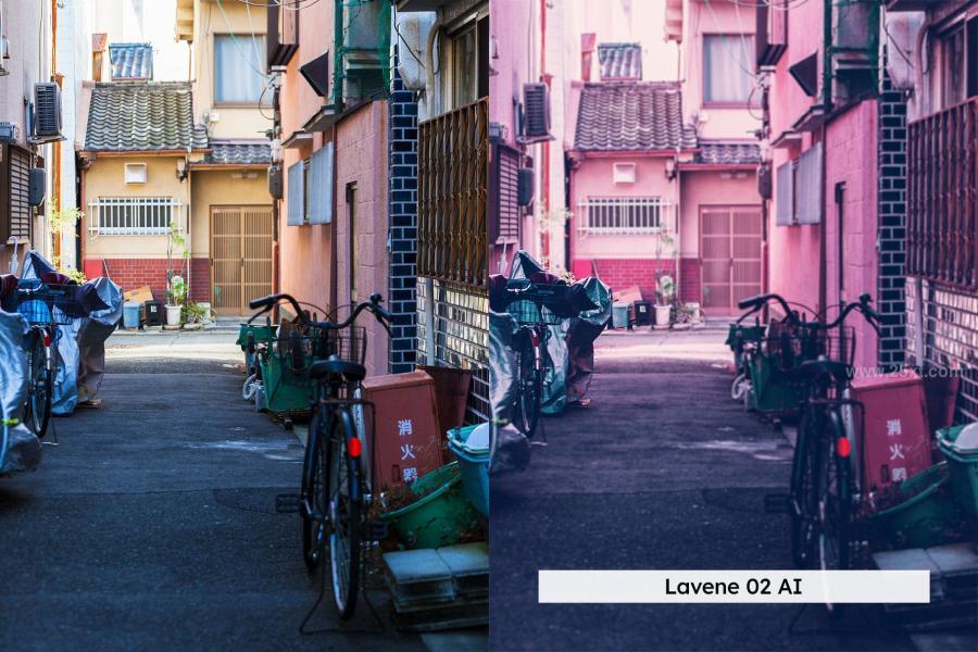 25xt-173368 20-City-Purple-Lightroom-Presets-and-LUTsz10.jpg