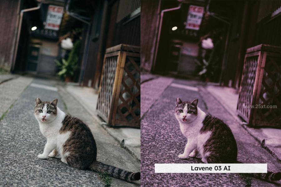 25xt-173368 20-City-Purple-Lightroom-Presets-and-LUTsz5.jpg