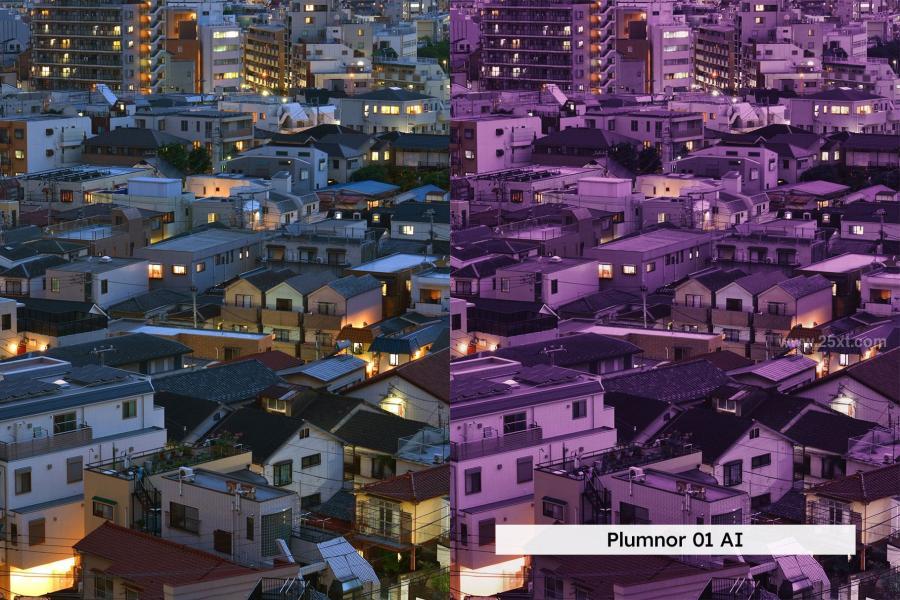 25xt-173368 20-City-Purple-Lightroom-Presets-and-LUTsz6.jpg
