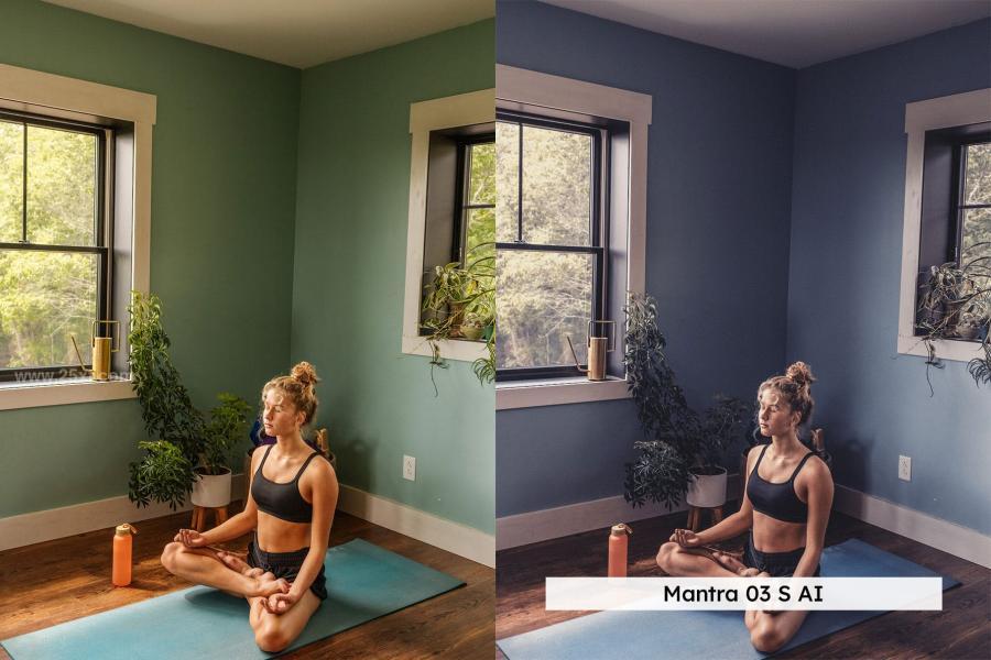 25xt-173369 20-Yoga-Lightroom-Presets--LUTsz13.jpg