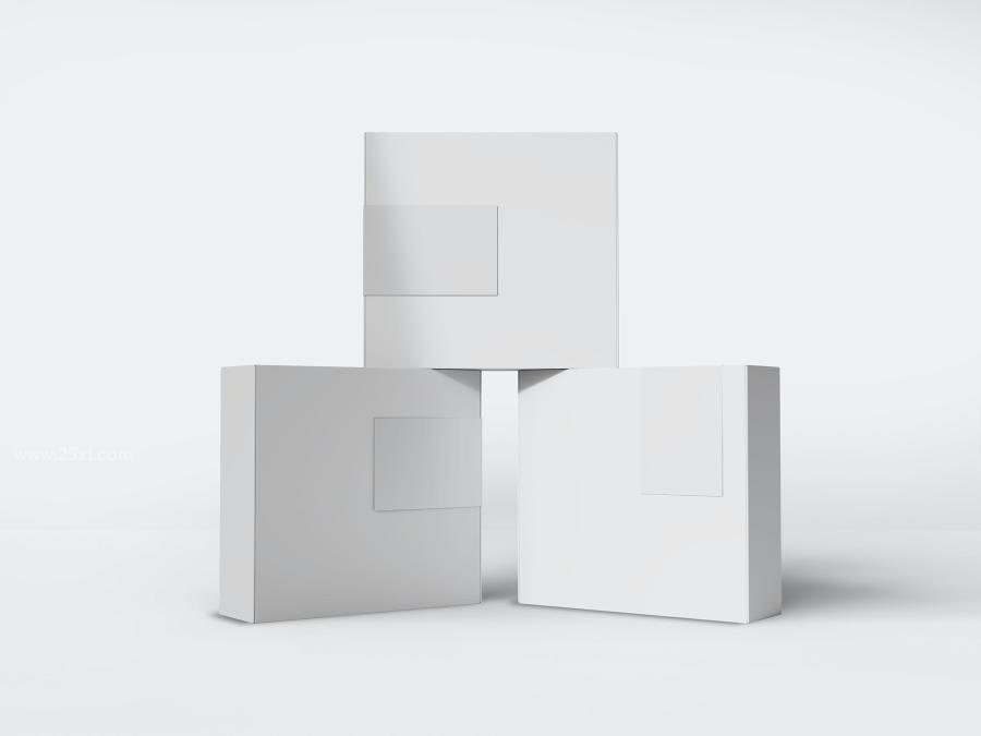 25xt-173511 Paper-Mailing-Box-Packaging-Branding-Mockup-Setz4.jpg