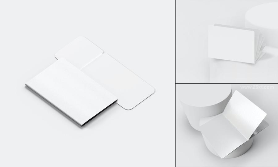25xt-173512 Open-Passport-and-Cover-Realistic-Psd-Mockups-Setz3.jpg