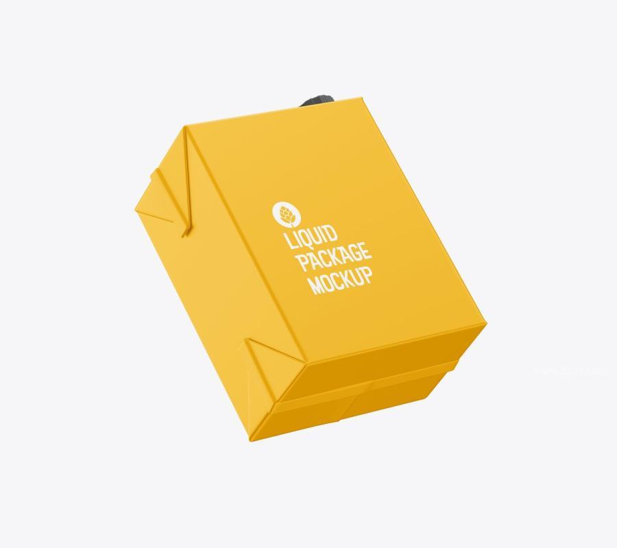 25xt-173752 Liter-Carton-Package-Mockupz15.jpg