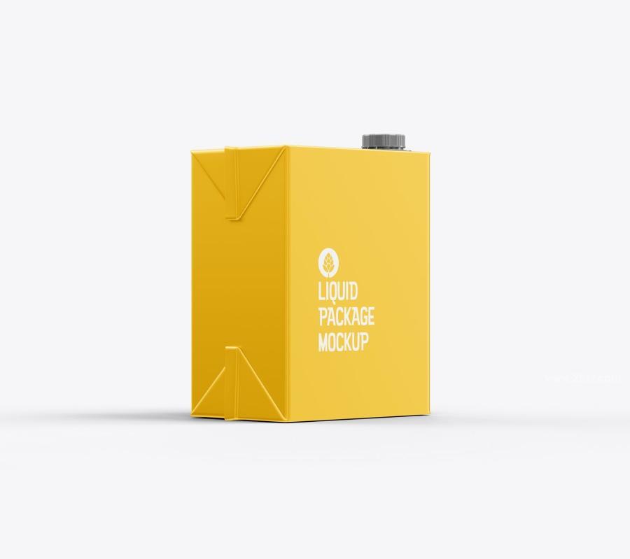 25xt-173752 Liter-Carton-Package-Mockupz16.jpg