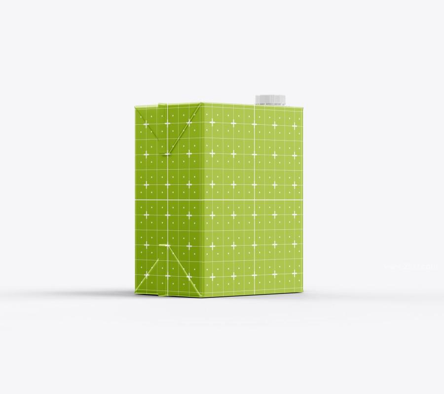 25xt-173752 Liter-Carton-Package-Mockupz3.jpg