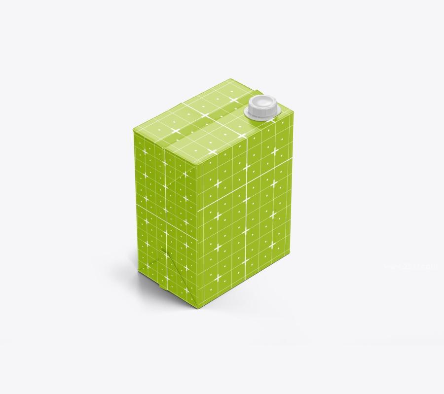 25xt-173752 Liter-Carton-Package-Mockupz7.jpg