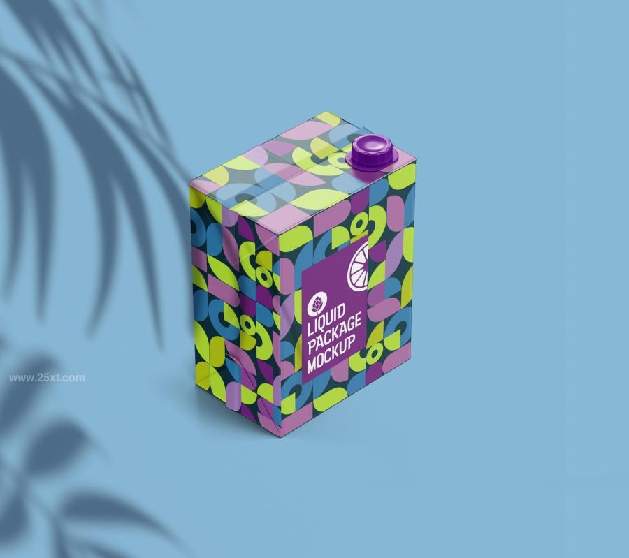 25xt-173752 Liter-Carton-Package-Mockupz8.jpg