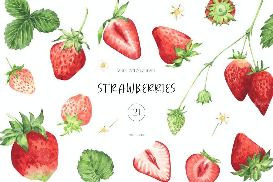 25xt-173783 Watercolor-Strawberries-Clipart-Summer-Fruit-pngz2.jpg