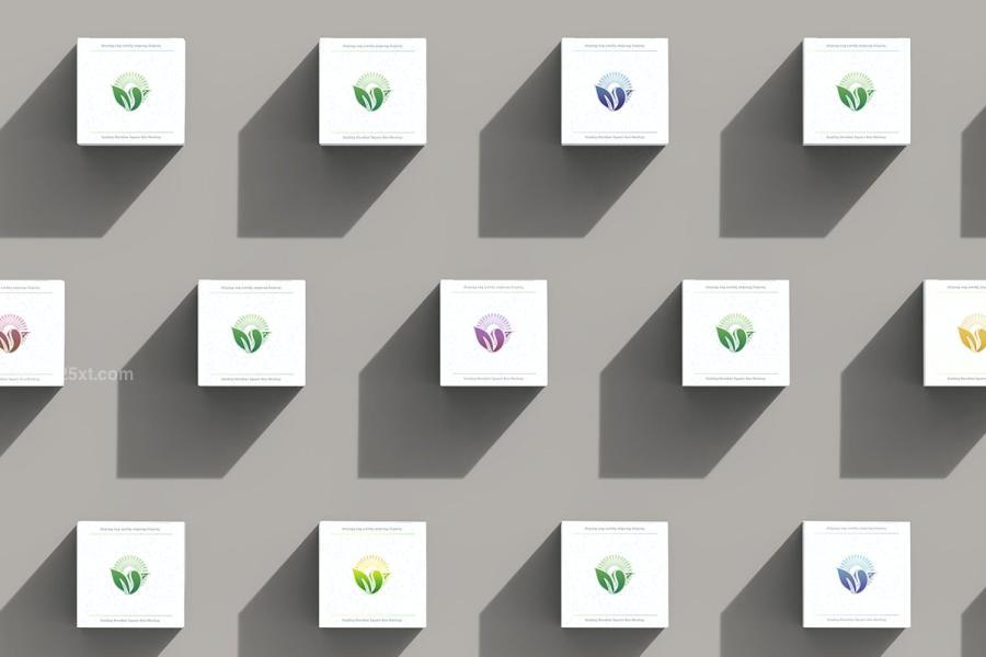 25xt-173884 Square-Box-Mockupz17.jpg