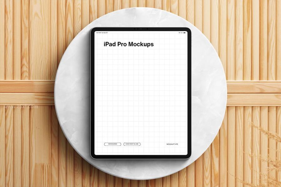 25xt-173889 iPad-Pro-Mockupsz4.jpg