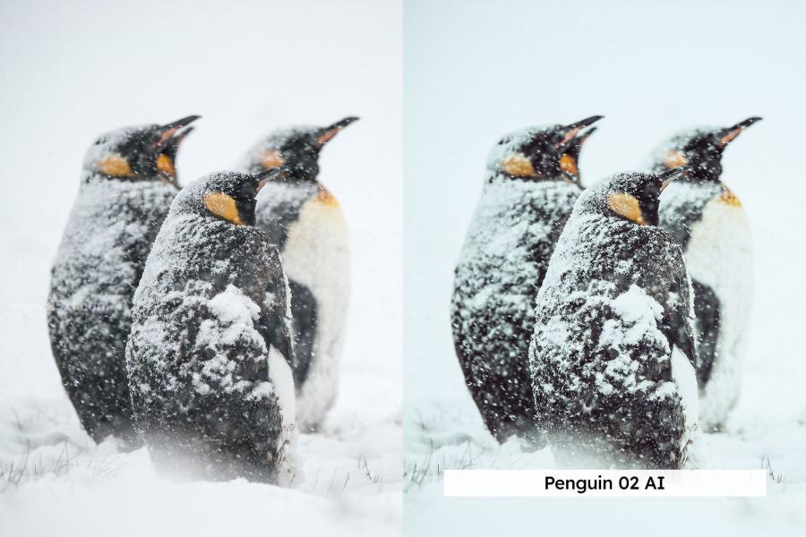 25xt-173915 20-Arctic-Lightroom-Presets-and-LUTsz4.jpg