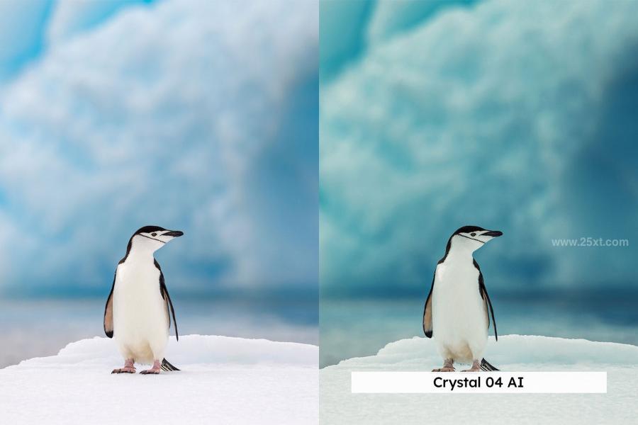 25xt-173915 20-Arctic-Lightroom-Presets-and-LUTsz5.jpg