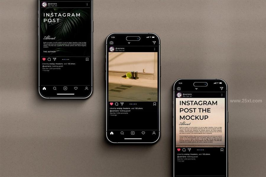 25xt-173989 Instagram-Post-Mockupz6.jpg