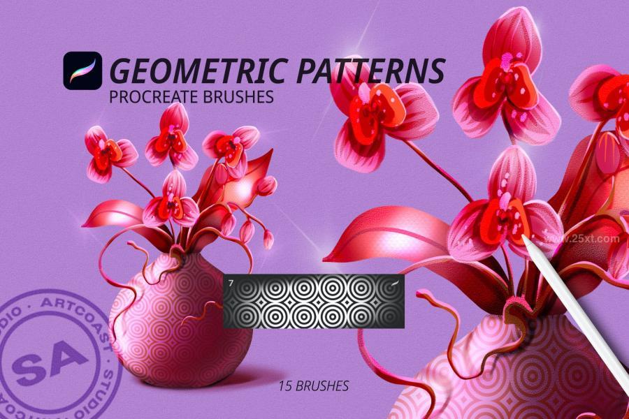 25xt-174006 Geometric-Patterns-for-Procreatez10.jpg