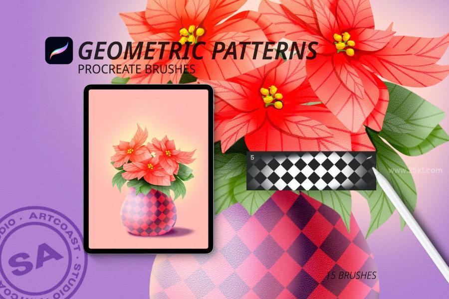 25xt-174006 Geometric-Patterns-for-Procreatez3.jpg