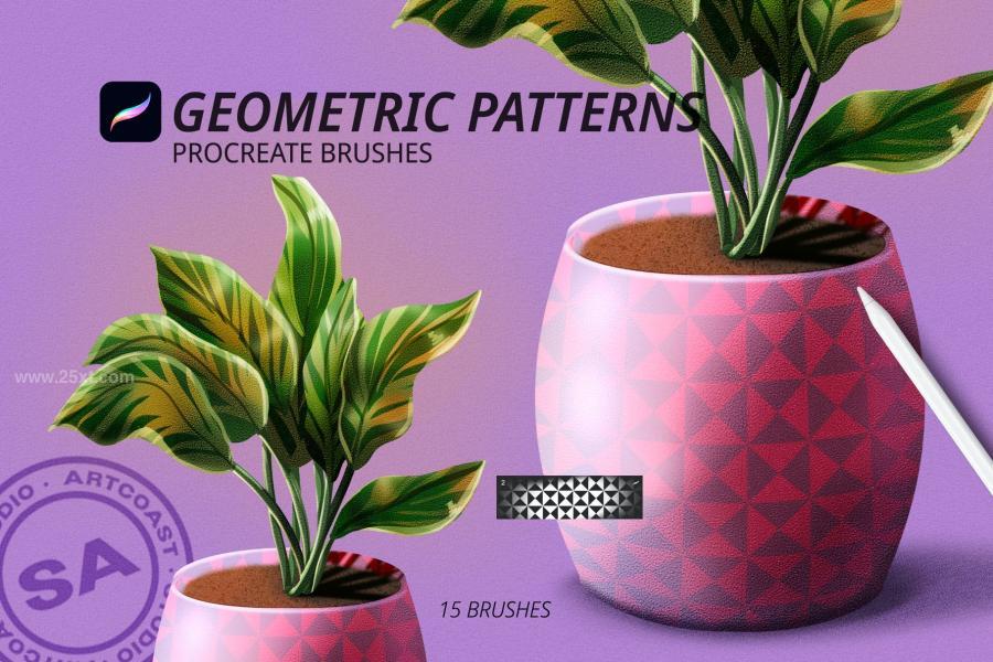 25xt-174006 Geometric-Patterns-for-Procreatez6.jpg