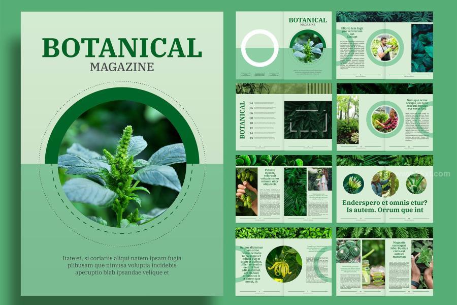 25xt-174034 Botanical-Magazinez2.jpg